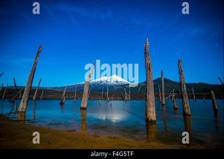 Vulcano LLaima, regione Araucania, Cile Foto Stock