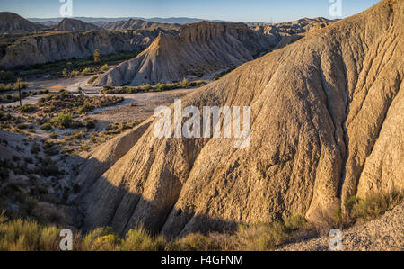 Tabernas, deserto Tabernas, il deserto Tabernas parco naturale, provincia di Almeria, Andalusia, Spagna Foto Stock