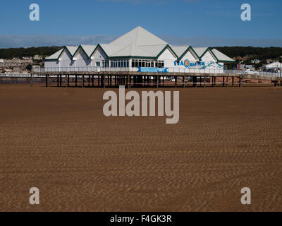 SeaQuarium, Acquario sul suo molo privato, Weston-super-Mare, Somerset, Regno Unito Foto Stock