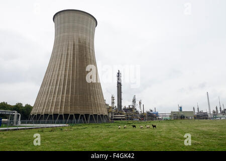 Parte di prodotti chimici industriali complessi, con la torre di raffreddamento a fabbrica chimica, DSM. Geleen, Limburgo, Paesi Bassi. Foto Stock