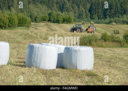 Round balle di fieno in plastica coperchio avvolgente Foto Stock