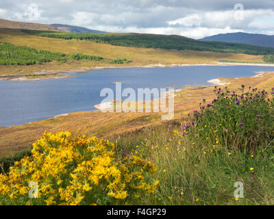 Belvedere sopra Loch Ness, Scozia Foto Stock