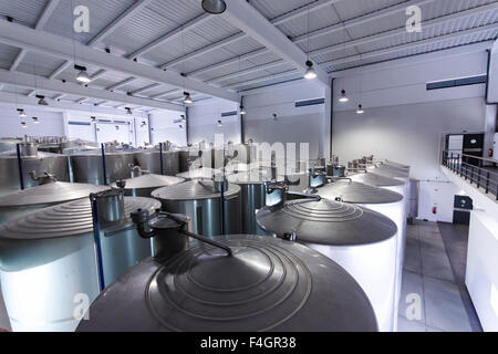 In vasche di acciaio inox per la fermentazione il vino in fabbrica Foto Stock