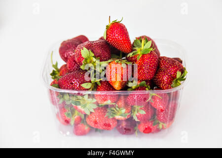 Fragole fresche in confezione di plastica Foto Stock