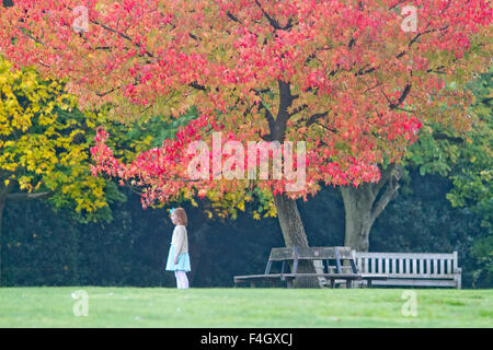 Wimbledon Londra,UK. Il 18 ottobre 2015. I membri del pubblico potrete crogiolarvi al sole su un incantevole autunno glorioso giorno di Wimbledon Common Credit: amer ghazzal/Alamy Live News Foto Stock