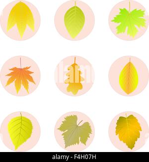 Set di icone Foglie di autunno. Illustrazione Vettoriale