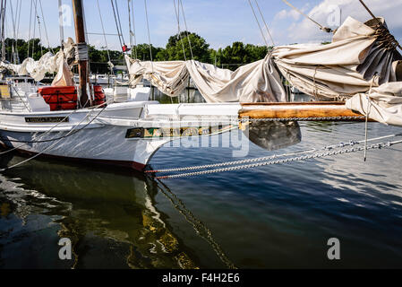 Rebecca T. Ruark tonnetto striato, Tilghman Island, Maryland Foto Stock