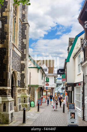 Negozi sulla corsia di composizione nel centro della città, Ipswich, Suffolk, Inghilterra, Regno Unito Foto Stock