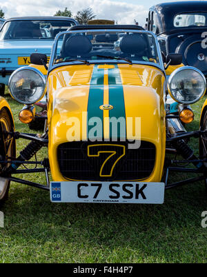 Rana cercando numero 7 Kit Car, giallo Foto Stock