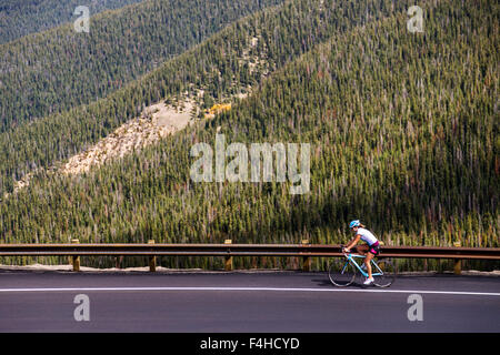 Ciclista femmina sulla Highway 40; Berthoud Pass; Colorado, STATI UNITI D'AMERICA Foto Stock