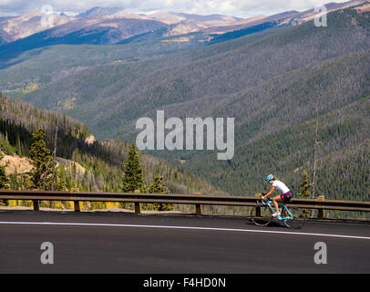 Ciclista femmina sulla Highway 40; Berthoud Pass; Colorado, STATI UNITI D'AMERICA Foto Stock