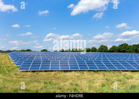 Campo con i lotti di pannelli solari nei Paesi Bassi Foto Stock