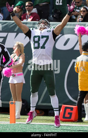 Ottobre 18, 2015, New York getti wide receiver Eric Decker (87) reagisce per la sua cattura e correre, ma era a corto di un touchdown durante il gioco di NFL tra Washington Redskins e il New York getti alla MetLife Stadium di East Rutherford, New Jersey. Christopher Szagola/CSM Foto Stock