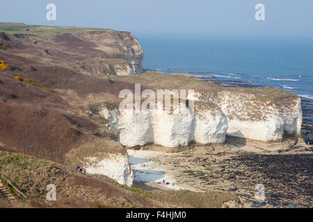 Chalk scogliere a Flamborough Head, Holderness costa in East Yorkshire Regno Unito Foto Stock