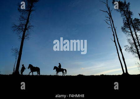 Silhouette del Monte Bromo horseman durante il tramonto in Tengger Semeru National Park, Surabaya, Indonesia. Foto Stock