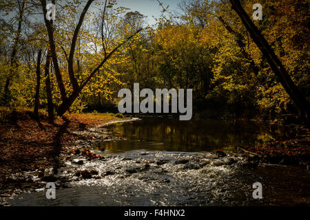 Bloomington, Indiana. Xviii oct, 2015. I colori dell'autunno al cedar bluff nature preserve vicino a Bloomington, Indiana. Credito: jeremy hogan/alamy live news Foto Stock