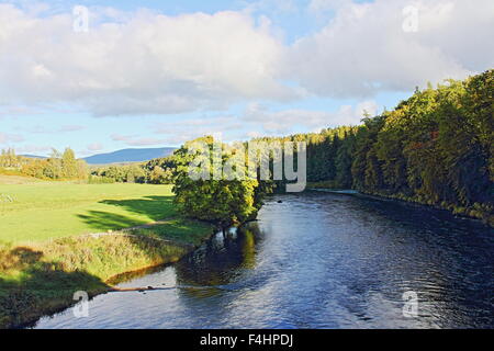 Fiume Spey guardando giù dal ponte vecchio a Grantown-on-Spey Foto Stock