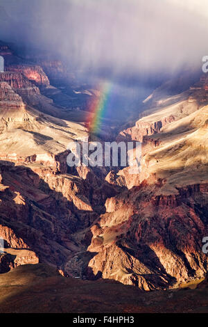 Un arcobaleno moduli sopra il Bright Angel Canyon durante una tempesta di pioggia, del Grand Canyon South Rim, Arizona. Foto Stock