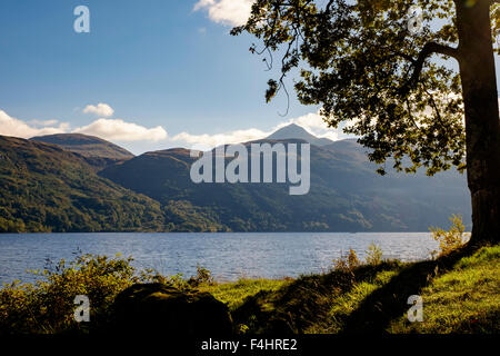 Guardando sul Loch Lomond verso di Ben Lomond, Scozia Foto Stock