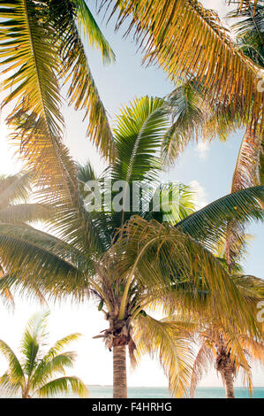 La spiaggia principale di Isla Mujeres, un'isola off, Cancun Quintana Roo, Messico. Foto Stock