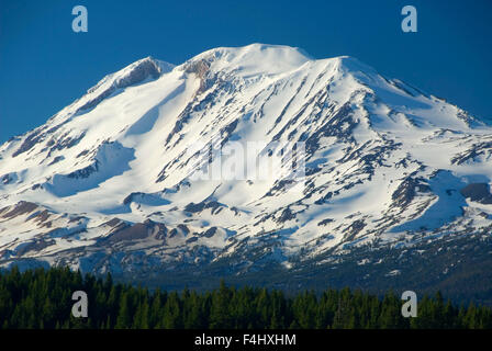 Mt Adams visualizza, Trota Lago Area Naturale preservare, trota lago, Washington Foto Stock