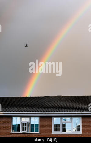 Rainbow in grigio cielo nuvoloso, con uccello in volo e il tetto della casa in primo piano. Foto Stock