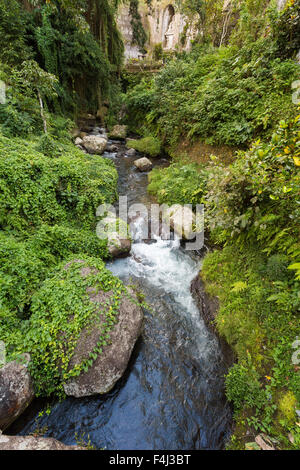 Fiume Pakerisan. Fiume tropicale paesaggio fluisce oltre il sacro tempio Gunung Kawi. Il Balinese - Fiume di Pura Gunung Kawi. Foto Stock