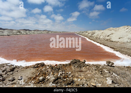 Sale minerario Minerali in Namibia nei pressi di Cape Cross Foto Stock