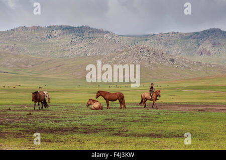 Sorridente ragazzo corse bareback passato altri cavalli, estate campo nomadi, Khujirt, Uvurkhangai (Ovorkhangai), Mongolia centrale Foto Stock