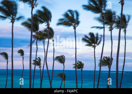 Playa Cabeza de Toro, Punta Cana, Repubblica Dominicana, West Indies, dei Caraibi e America centrale Foto Stock