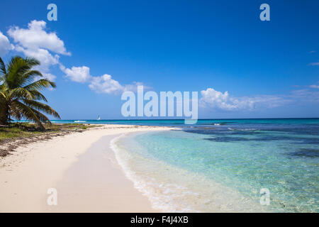 Catuano Beach, Saona Island, Parque Nacional del Este, Punta Cana, Repubblica Dominicana, West Indies, dei Caraibi e America centrale Foto Stock