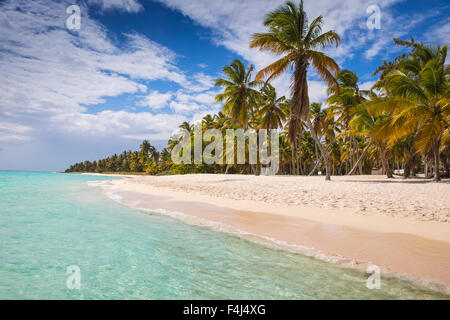Canto de la Playa, Saona Island, Parque Nacional del Este, Punta Cana, Repubblica Dominicana, West Indies, dei Caraibi Foto Stock