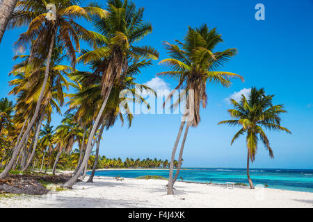 Canto de la Playa, Saona Island, Parque Nacional del Este, Punta Cana, Repubblica Dominicana, West Indies, dei Caraibi Foto Stock