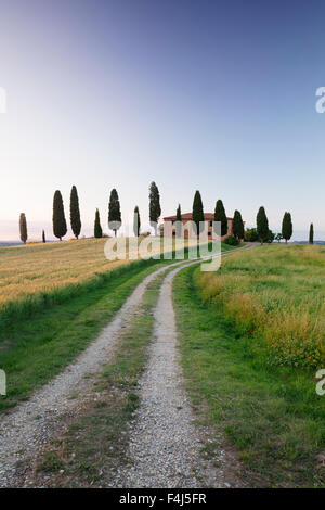 Agriturismo con cipressi, nei pressi di Pienza, Val d'Orcia (Val d'Orcia), l'UNESCO, in provincia di Siena, Toscana, Italia Foto Stock