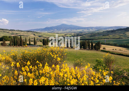 Paesaggio toscano con il Monte Amiata, nei pressi di Pienza, Val d'Orcia (Val d'Orcia), il Sito Patrimonio Mondiale dell'UNESCO, in provincia di Siena Toscana Foto Stock