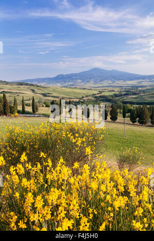 Paesaggio toscano con il Monte Amiata, nei pressi di Pienza, Val d'Orcia (Val d'Orcia), il Sito Patrimonio Mondiale dell'UNESCO, in provincia di Siena, Toscana Foto Stock