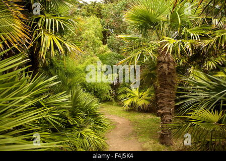 Palme e giardini botanici di Chateau de Vauville, del Cotentin, in Normandia, Francia, Europa Foto Stock