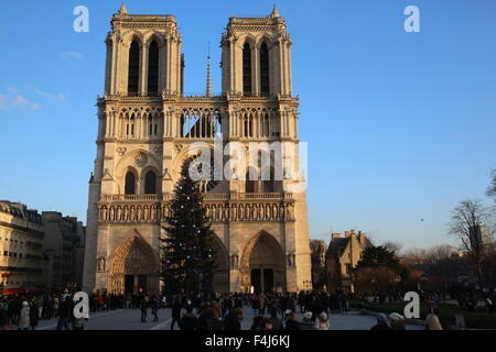 Turisti e albero di Natale al di fuori di Notre Dame de Paris Cathedral, Parigi, Francia, Europa Foto Stock