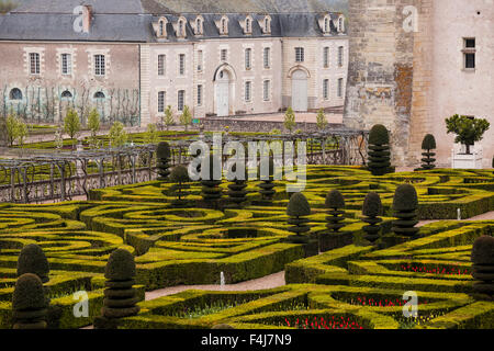 Simmetricamente bellissimi giardini presso il castello di Villandry, UNESCO, Valle della Loira, Indre et Loire, centro, Francia Foto Stock