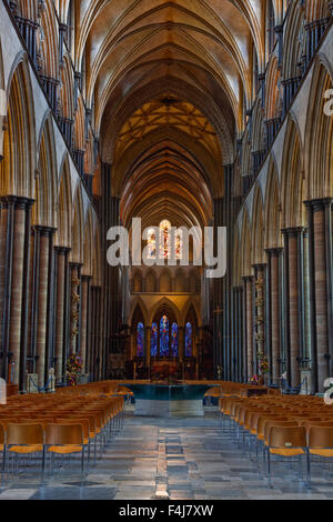 Guardando verso il basso la magnifica navata della Cattedrale di Salisbury, Salisbury, Wiltshire, Inghilterra, Regno Unito, Europa Foto Stock