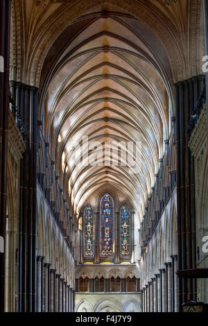 Guardando verso il basso la navata della Cattedrale di Salisbury verso il fronte ovest, Salisbury, Wiltshire, Inghilterra, Regno Unito, Europa Foto Stock