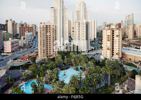 Una foresta di hi-sorge a Benidorm, Costa Blanca, Spagna, Mediterraneo, Europa Foto Stock