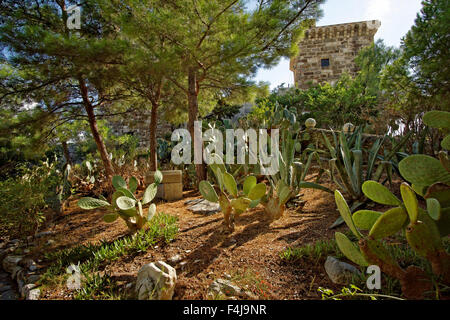 Parte interna e il giardino dei cactus di San Pietro il castello di Bodrum, Provincia di Mugla. Foto Stock