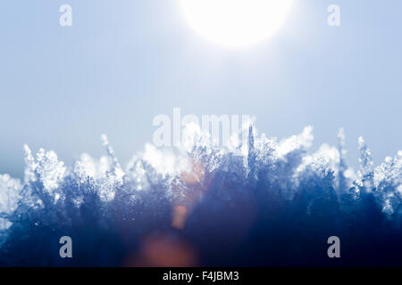 Neve contro la luce Foto Stock