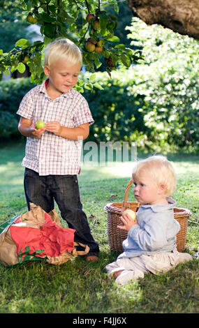 Due ragazzi tenendo le mele nel frutteto Foto Stock