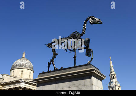 Quarto zoccolo scultura, Cavallo regalo da Hans Haacke in Trafalgar Square, Londra, Gran Bretagna, Regno Unito Foto Stock