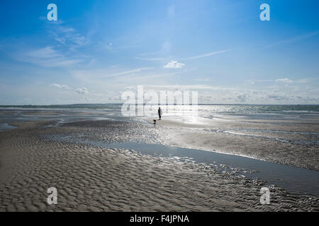 Dog walker a bassa marea a Hayling Island Foto Stock