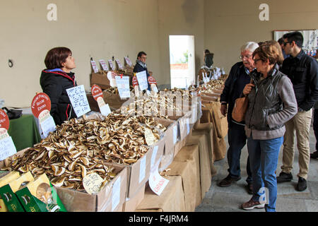 Moncalvo, Italia - Ottobre 18,2015: turisti davanti a un fornitore di funghi presso la Fiera del Tartufo di Moncalvo, Italia Foto Stock