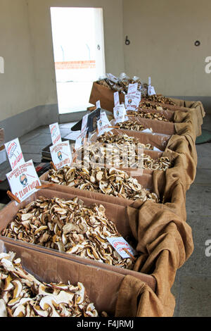 Moncalvo, Italia - Ottobre 18,2015: Stand di un fornitore di funghi presso la Fiera del Tartufo di Moncalvo, Italia Foto Stock