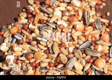 Hamster del cibo, compresa l'avena, calli, erbe aromatiche Foto Stock